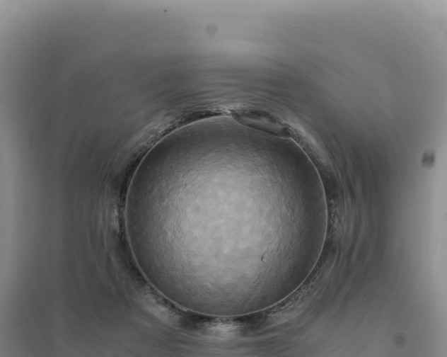 X0000094370313200711091544