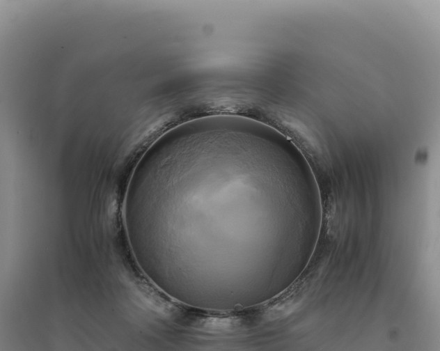 X0000094370314200711091544