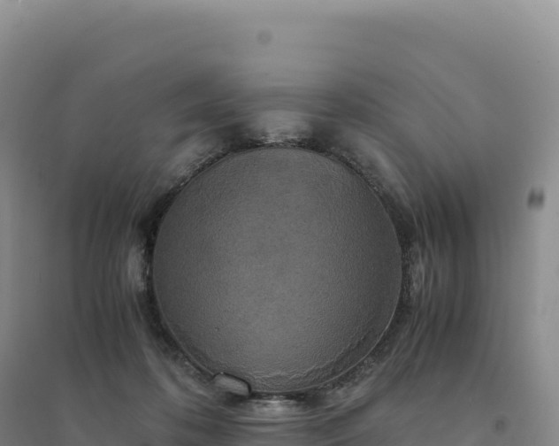 X0000094370316200711091544