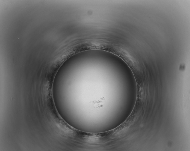 X0000094370318200711091544