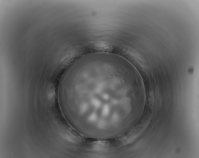 X0000094370320200711091544