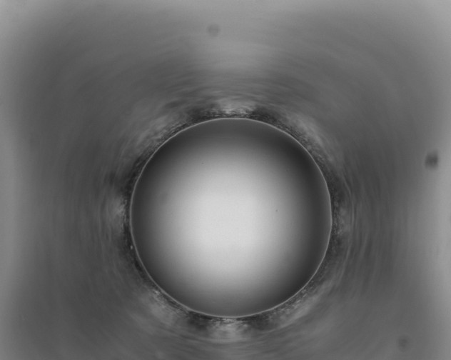 X0000094370321200711091544