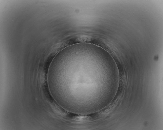 X0000094370323200711091544