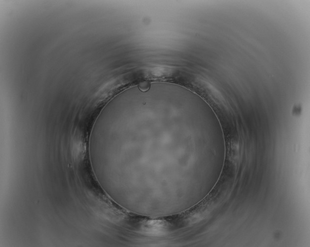 X0000094370324200711091544