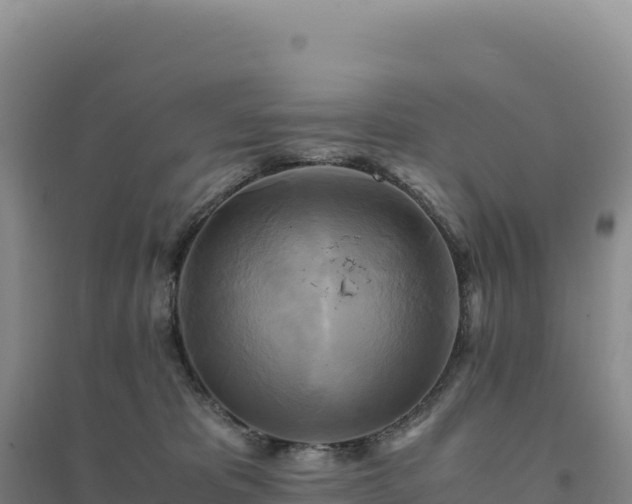 X0000094370325200711091544