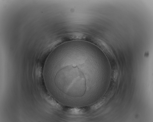 X0000094370326200711091544