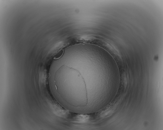 X0000094370328200711091543