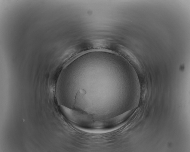 X0000094370329200711091543