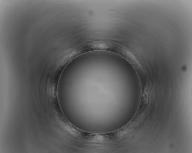 X0000094370330200711091543