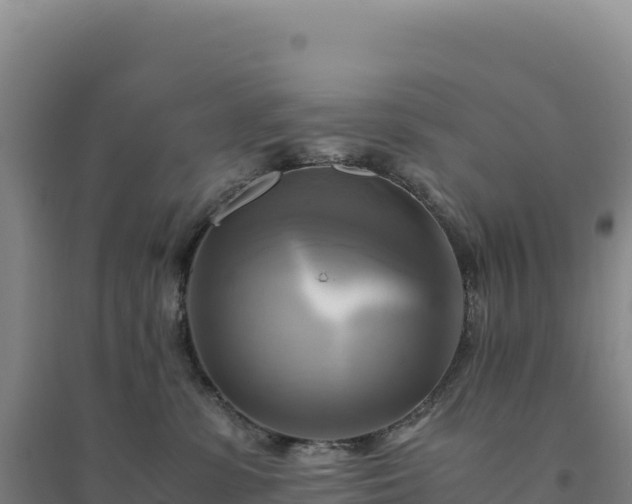 X0000094370331200711091543