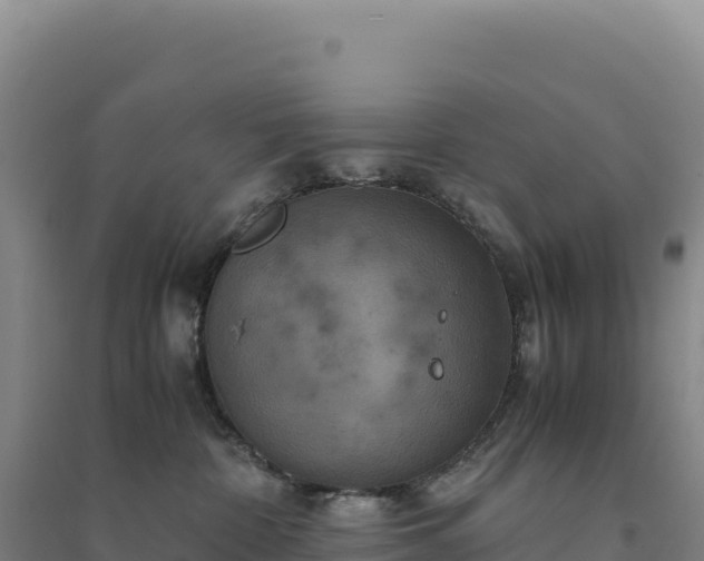 X0000094370332200711091543