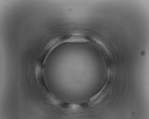 X0000094370333200711091543
