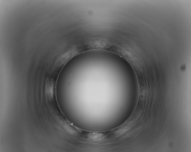 X0000094370334200711091543