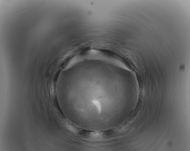 X0000094370335200711091543