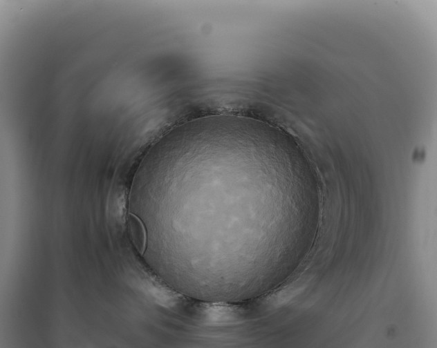X0000094370336200711091543