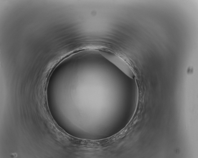 X0000094370337200711091543