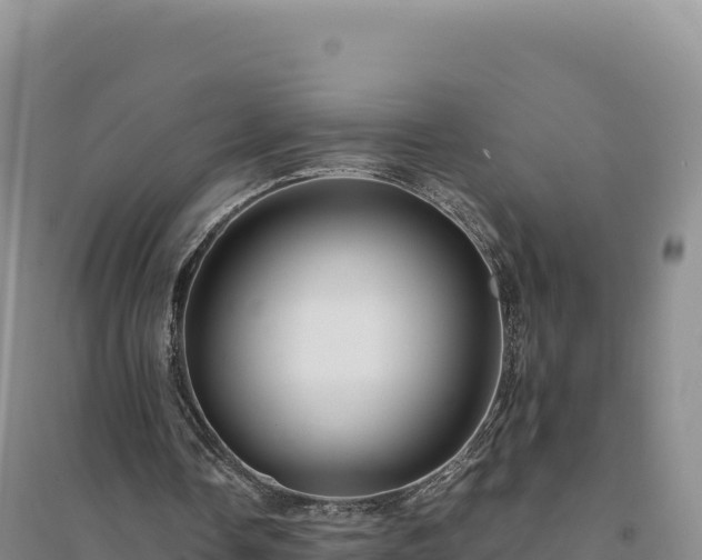 X0000094370338200711091543