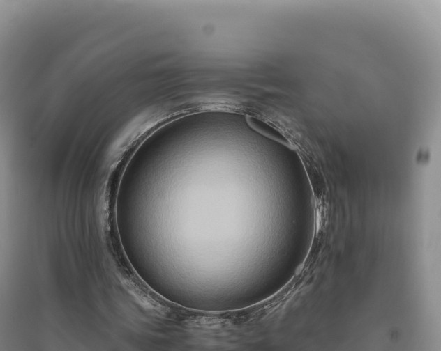 X0000094370339200711091543