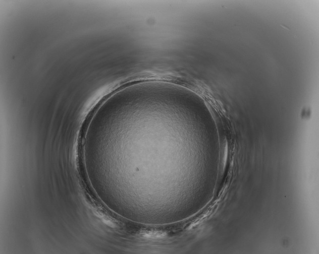 X0000094370340200711091543