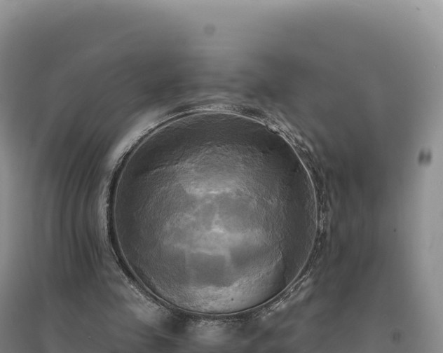 X0000094370341200711091543