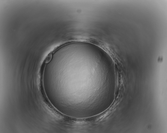 X0000094370342200711091543