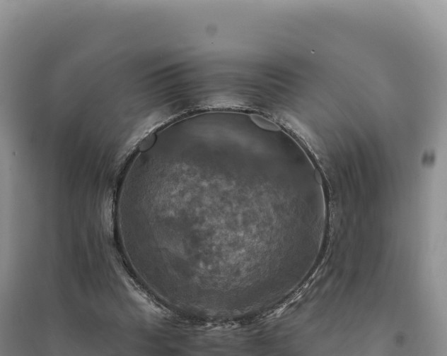 X0000094370345200711091543