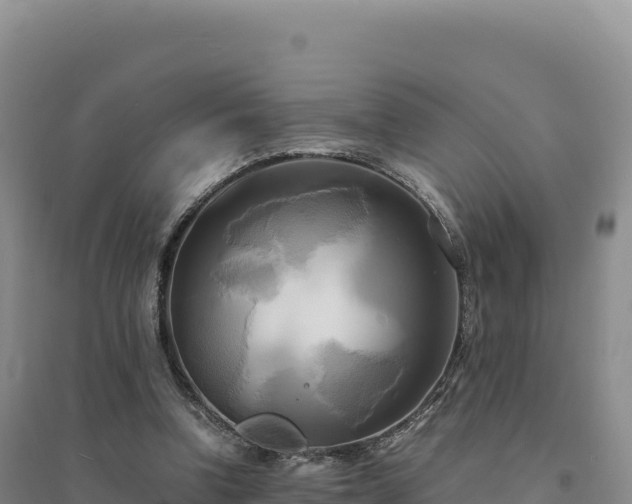 X0000094370346200711091543