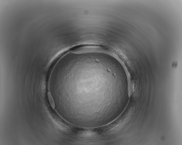 X0000094370348200711091543