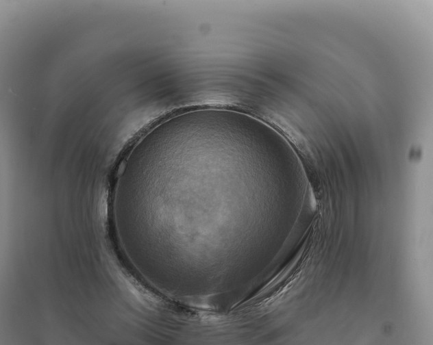 X0000094370350200711091543