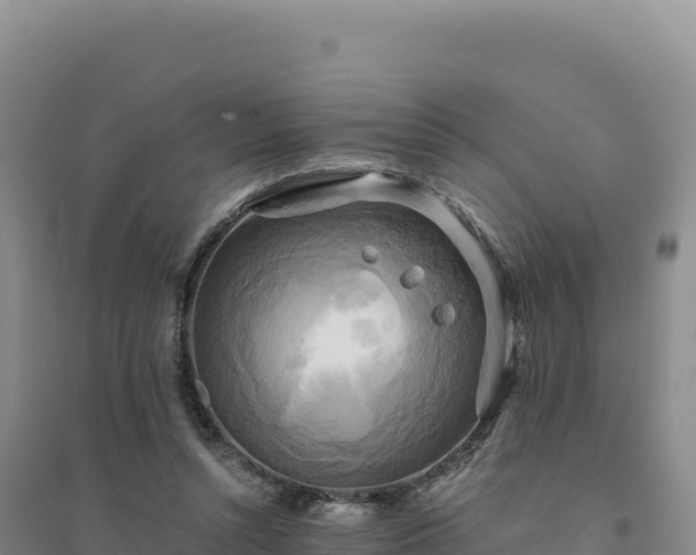 X0000094370352200711091543