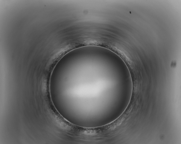 X0000094370353200711091543