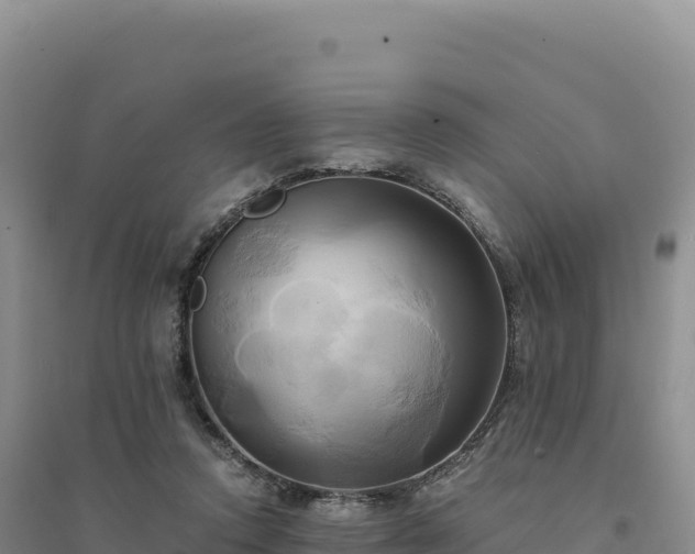 X0000094370354200711091543