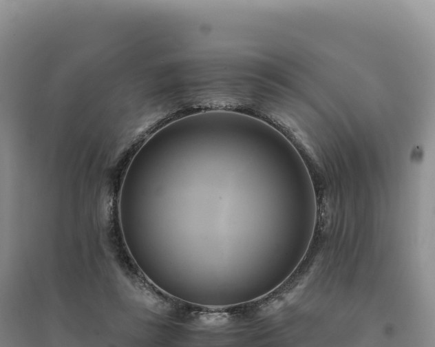 X0000094370355200711091543