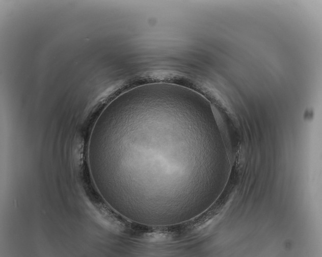 X0000094370356200711091543