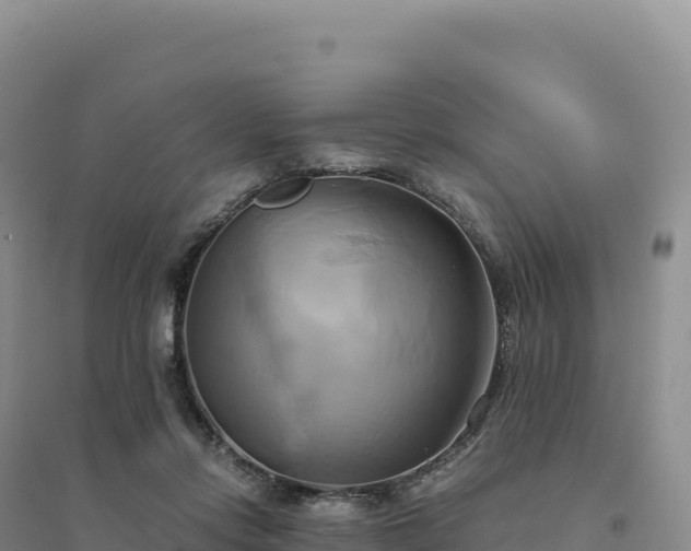 X0000094370358200711091543