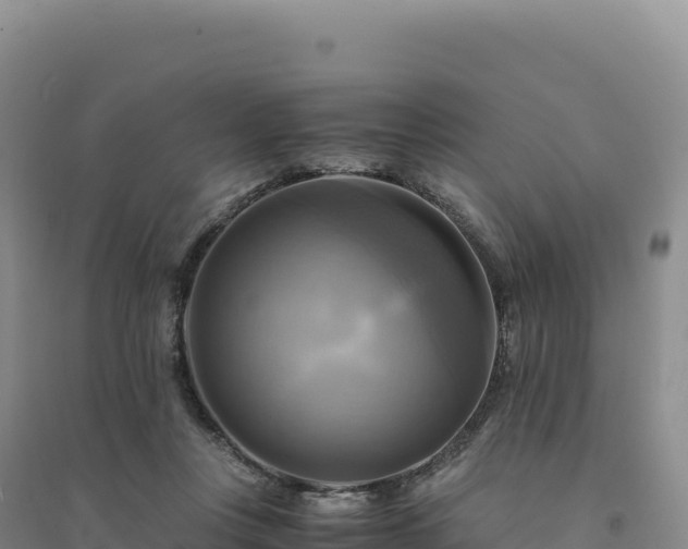 X0000094370359200711091543