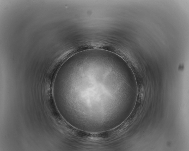 X0000094370360200711091543