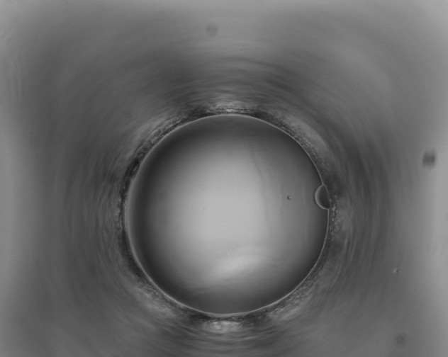 X0000094370361200711091543