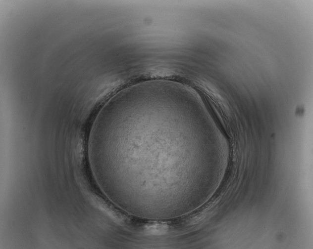 X0000094370362200711091543