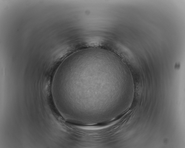 X0000094370364200711091543