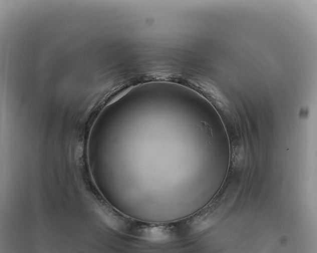 X0000094370365200711091543