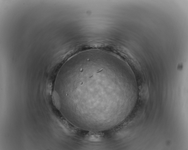 X0000094370368200711091543
