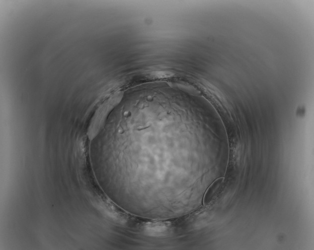 X0000094370373200711091543