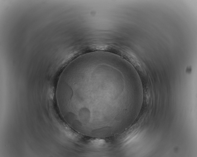 X0000094370374200711091543