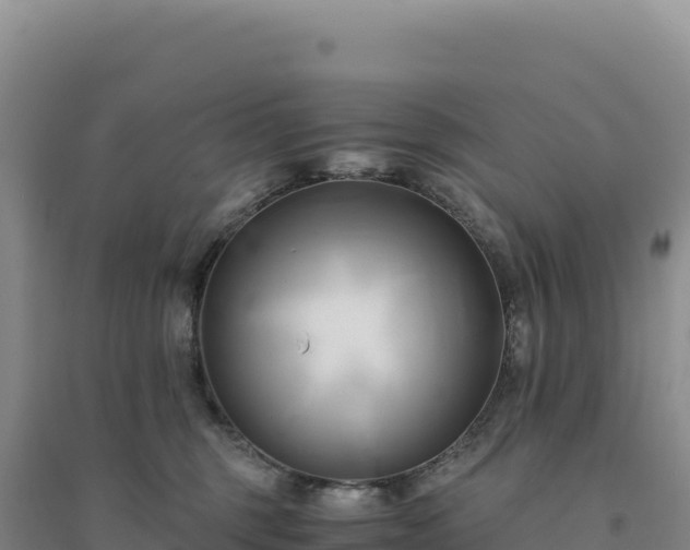 X0000094370375200711091543