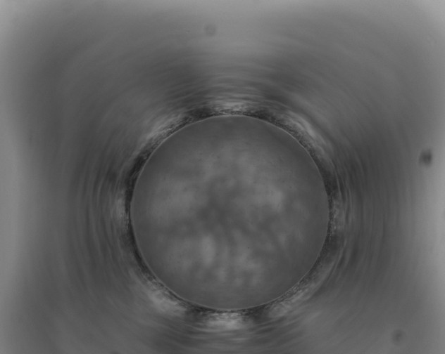 X0000094370377200711091543