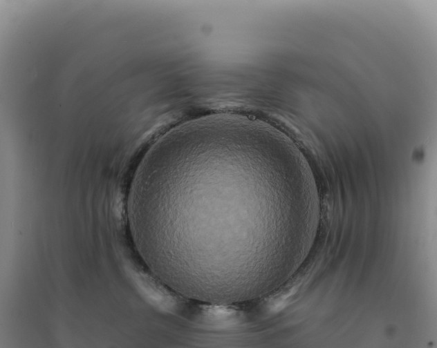 X0000094370380200711091543