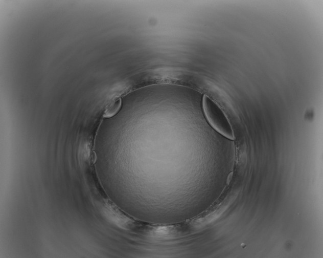 X0000094370382200711091543