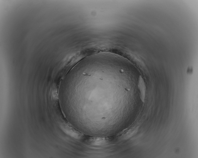 X0000094370384200711091543