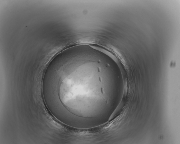 X0000094370385200711091543